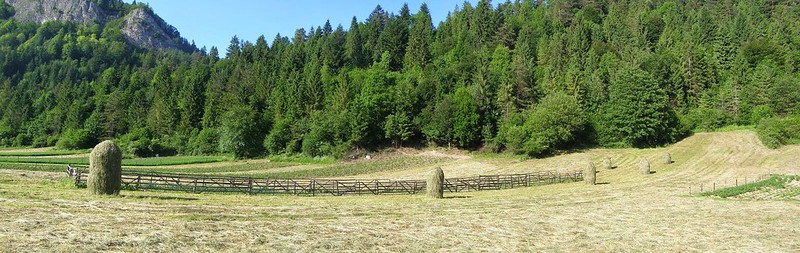 Pieniny